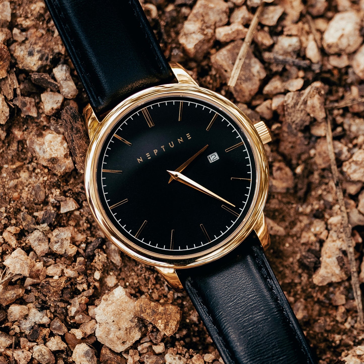 neptune gold- 42mm